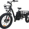 Электровелосипед трехколесный Etrike Rubicon