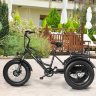 Электровелосипед трицикл ECO-BIKE GRIZZLY M5 20 700W 48V12AH