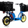 Электровелосипед E-motions Fox Cargo