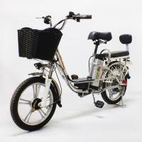 Электровелосипед GreenCamel Транк-18-60 (R18 350W 60V) Алюм