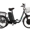 Трицикл GM Porter 750W черный