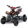 Квадроцикл Motax ATV H4 mini-50 cc