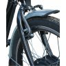 Электротрицикл Eko-Bike Dacha (Fazenda) 250 Велогибрид