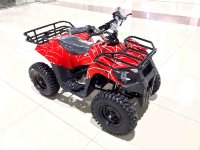 Электроквадроцикл MYTOY 800В 500 W Красный паук