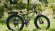 Велогибрид Nirvana BamBoo 500W зеленый