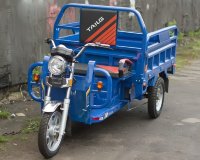 Электротрицикл TaiLG TL800DQZ-40Z Синий original