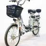 Электровелосипед GreenCamel Транк-20 (R20 350W 48V)