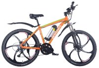 Электровелосипед Ecoffect Rush 350W Оранжевый