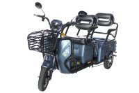 Грузовой электротрицикл E-motions Trike Transformer